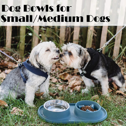 Dog Bowls Small Medium Sized Dog Food Bowl, Slow Feeder Dog Bowl Set, Stainless Steel Dog Bowls, Non-Skid Cat Dog Food and Water Bowls by  (Navy)