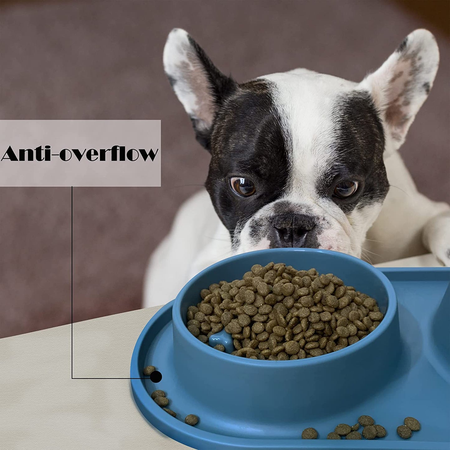 Dog Bowls Small Medium Sized Dog Food Bowl, Slow Feeder Dog Bowl Set, Stainless Steel Dog Bowls, Non-Skid Cat Dog Food and Water Bowls by  (Navy)