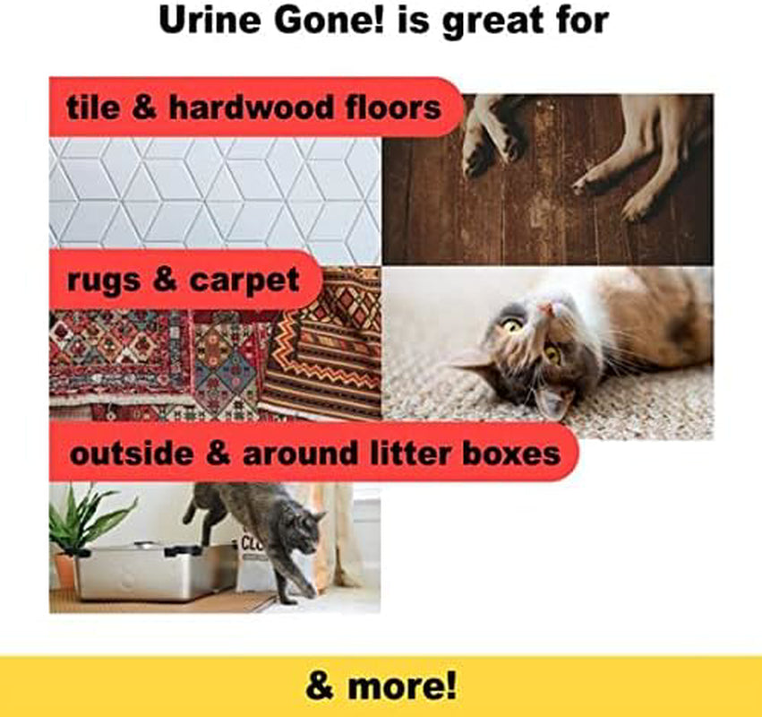 Urine Gone Pet Stain Remover & Odor Eliminator: Heavy Duty Carpet Cleaner and –