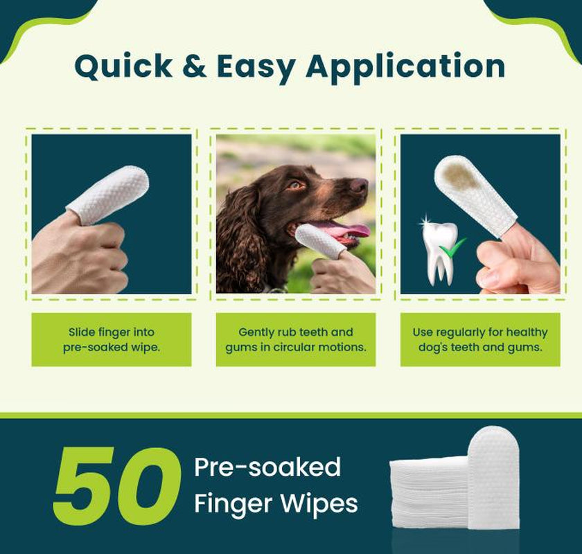 [Pet Fortuna] 50Pc Pet Dental Teeth Cleaning Finger Wipes for Dogs & Cats, Removes Buildups & Freshens Breath, Disposable Cleaning Dental Wipe - Unscented (50 Count) Finger Wipes Dental Cleaning Toothbrush