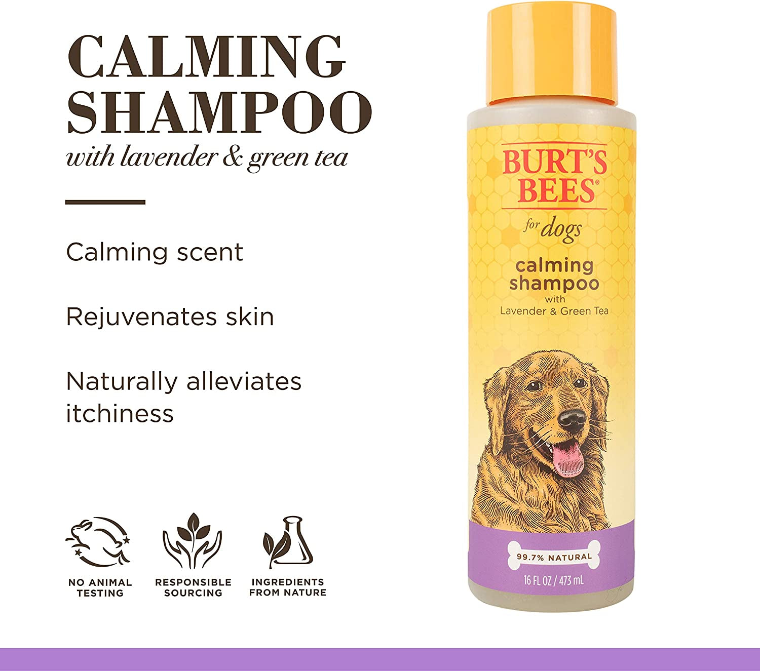 Naturally Derived Calming Dog Shampoo with Lavender and Green Tea - Cleansing Lavender Dog Shampoo - Cruelty Free, Made in USA, 16 Oz