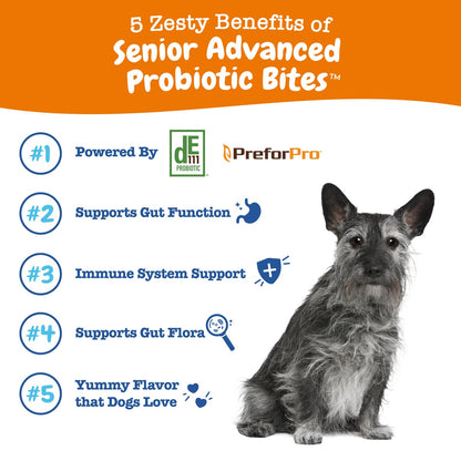 Senior Advanced Probiotic Bites for Dogs, for Gut & Digestive Health, Chicken Flavor, 90 Count Soft Chews