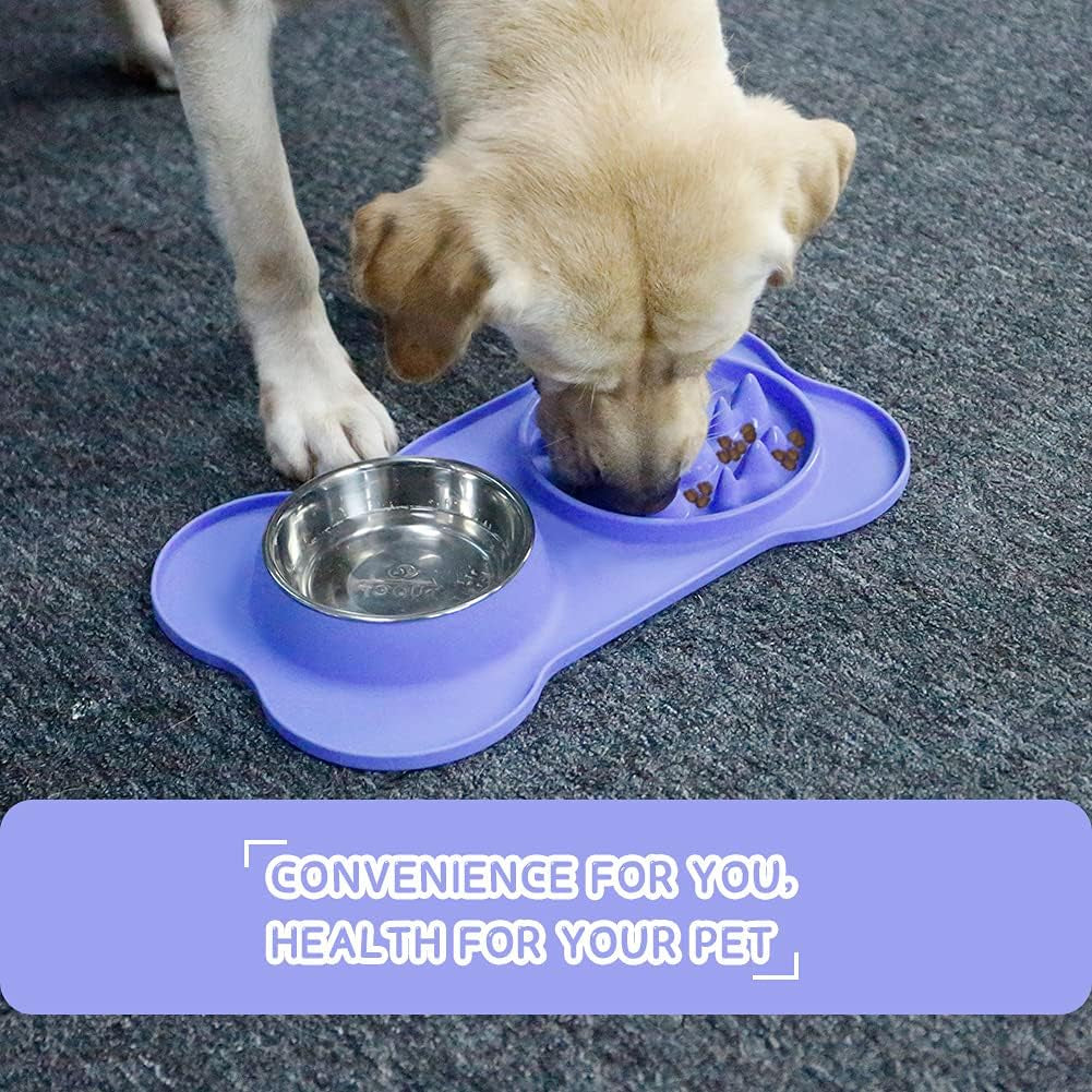 Slow Feeder Double Bowl for Dogs and Cats, Anti-Choke Water and Food Puppy Feeder, Stainless Steel Bowl with Non-Spill Silicone Mat for Pets