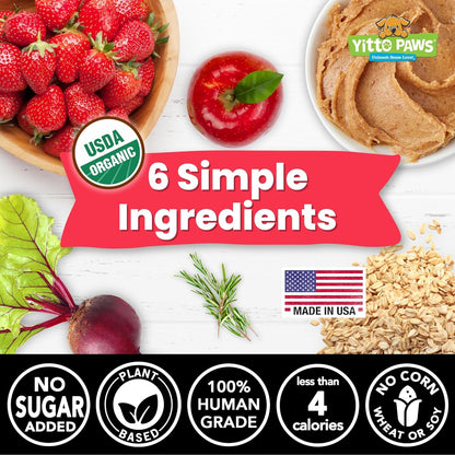 Crunchy Mini Organic Dog Treats - Oats, Strawberries & Peanut Butter – Low Calorie, Vegan, Human-Grade, All Natural Training Treats Made in USA - No Sugar Added Healthy Puppy Biscuits