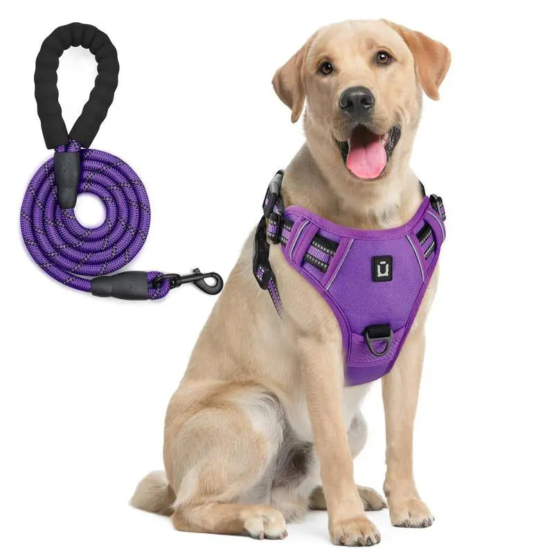 Adjustable Pet Harness & Leash Kit, 1 Set Reflective No Pull Vest Harness with Handle, Pet Supplies for Small to Large Dogs, Pet Products