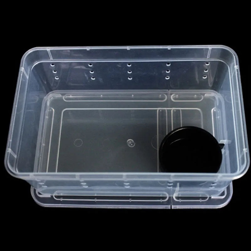 Reptile Snake Feeding Box Breeding Hatching Container Lizard Tarantula Habitat Portable Plastic Pet Houses for Spider