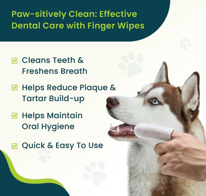 [Pet Fortuna] 50Pc Pet Dental Teeth Cleaning Finger Wipes for Dogs & Cats, Removes Buildups & Freshens Breath, Disposable Cleaning Dental Wipe - Unscented (50 Count) Finger Wipes Dental Cleaning Toothbrush