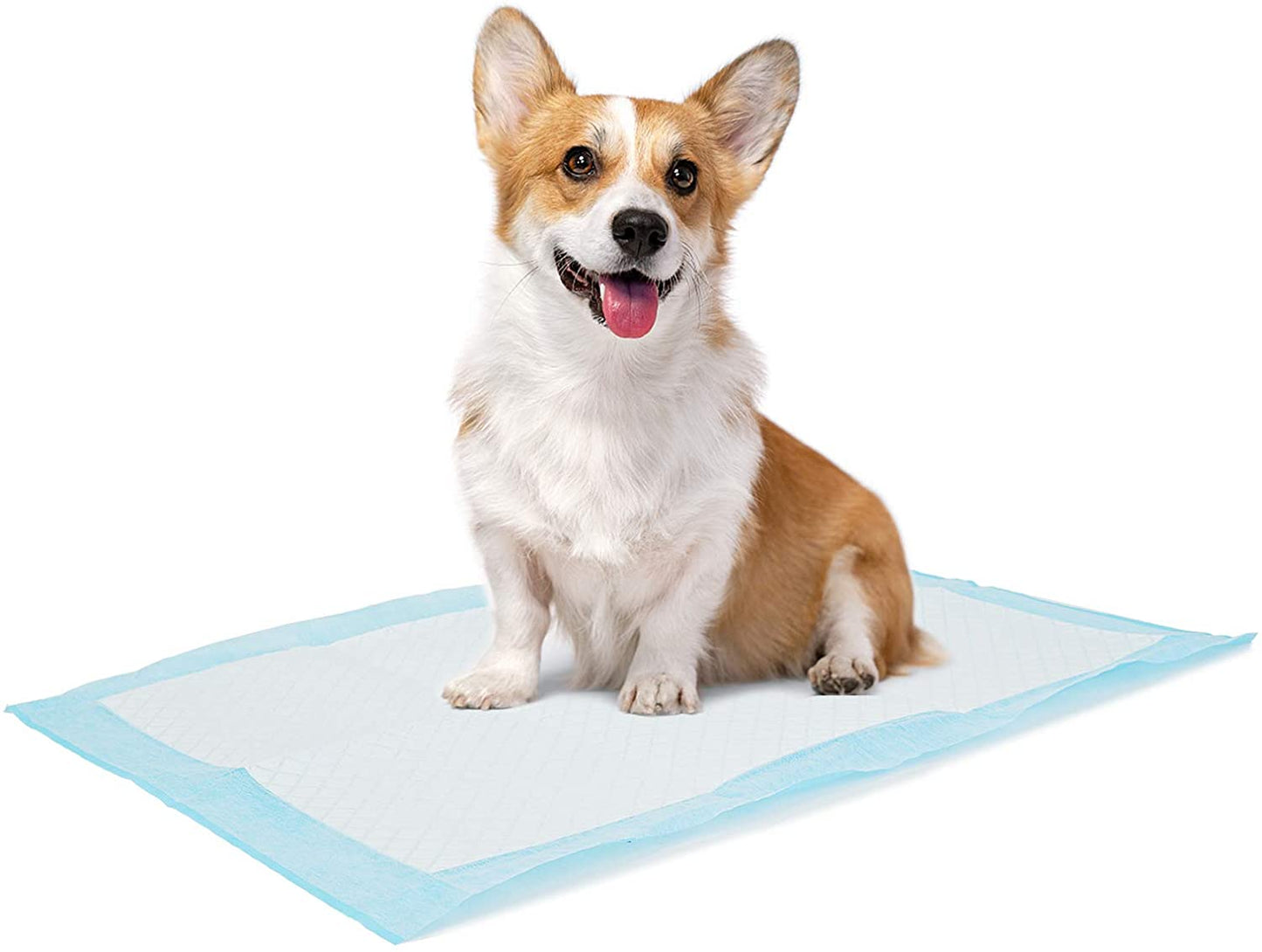 Dog and Puppy Training Pads (13"*18" (33*45Cm) - 100 Counts)