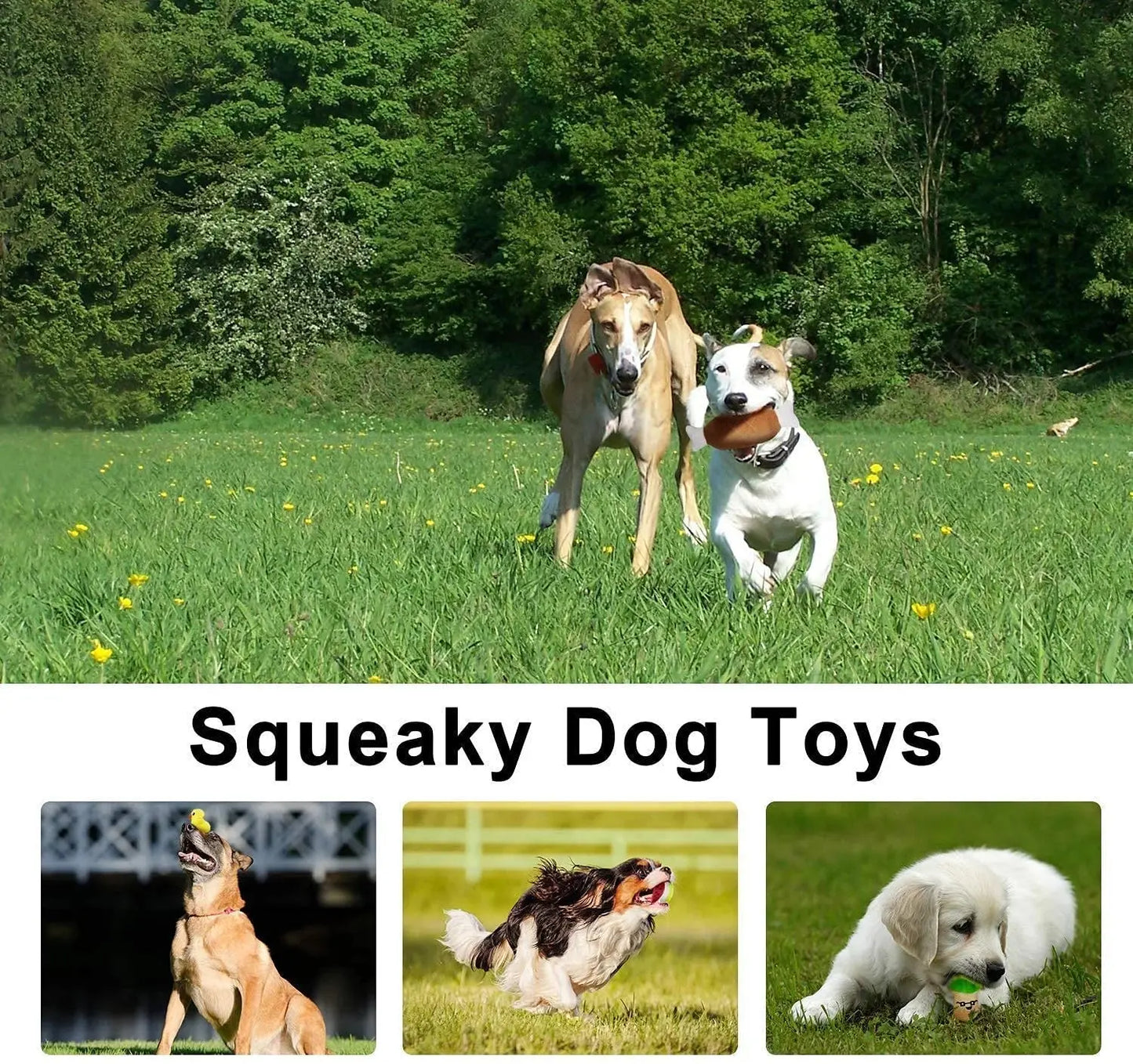 14 Pack Dog Squeaky Toys Cute Stuffed Plush Fruits Snacks and Vegetables Dog Toys for Puppy Small Medium Dog Pets