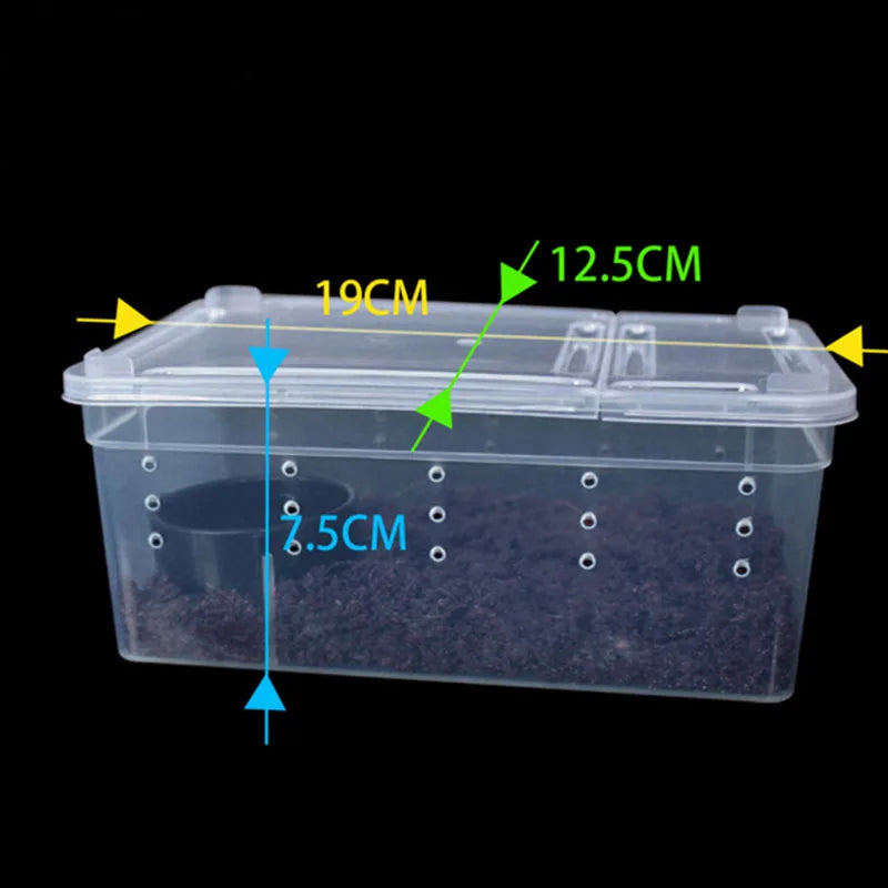 Reptile Snake Feeding Box Breeding Hatching Container Lizard Tarantula Habitat Portable Plastic Pet Houses for Spider