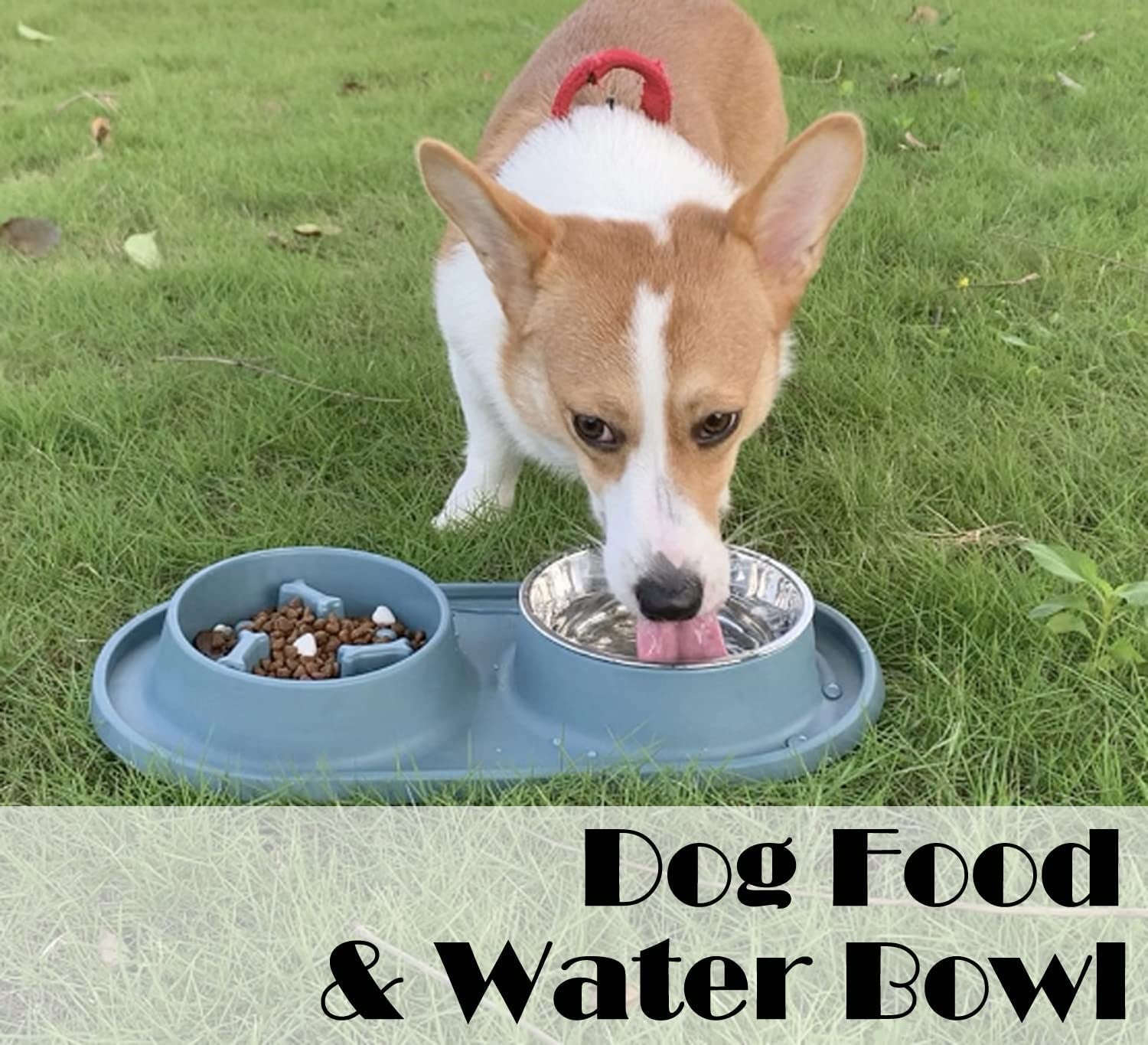 Dog Bowls Small Medium Sized Dog Food Bowl, Slow Feeder Dog Bowl Set, Stainless Steel Dog Bowls, Non-Skid Cat Dog Food and Water Bowls by  (Navy)