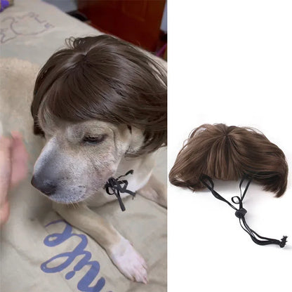 Pet Wigs Cosplay Props Dog Cat Cross-Dressing Hair Set Photography Funny Props Head Accessories Prank Pet Supplies Costumes DIY