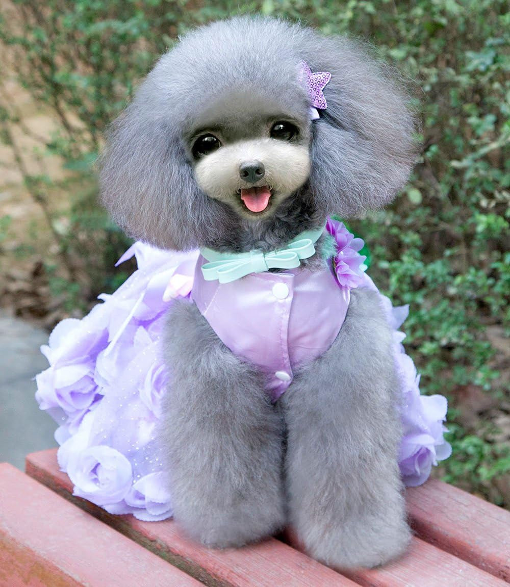 Pet Small Dog Puppy Cat Clothes Coat Wedding Costume Satin Rose Formal Dress Tutu Purple Violet L