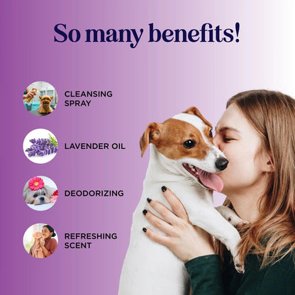 Pet Odor Eliminator Spray Cleaner - Honeydew Lavender Pet Smell Eliminator - Dog Deodorizing Spray for Home and Car - Smelly Spray for Dogs with Lavender - Dog Grooming Spray for Home