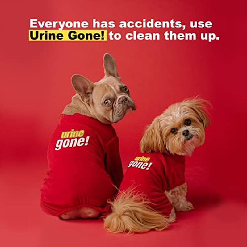 Urine Gone Pet Stain Remover & Odor Eliminator: Heavy Duty Carpet Cleaner and –