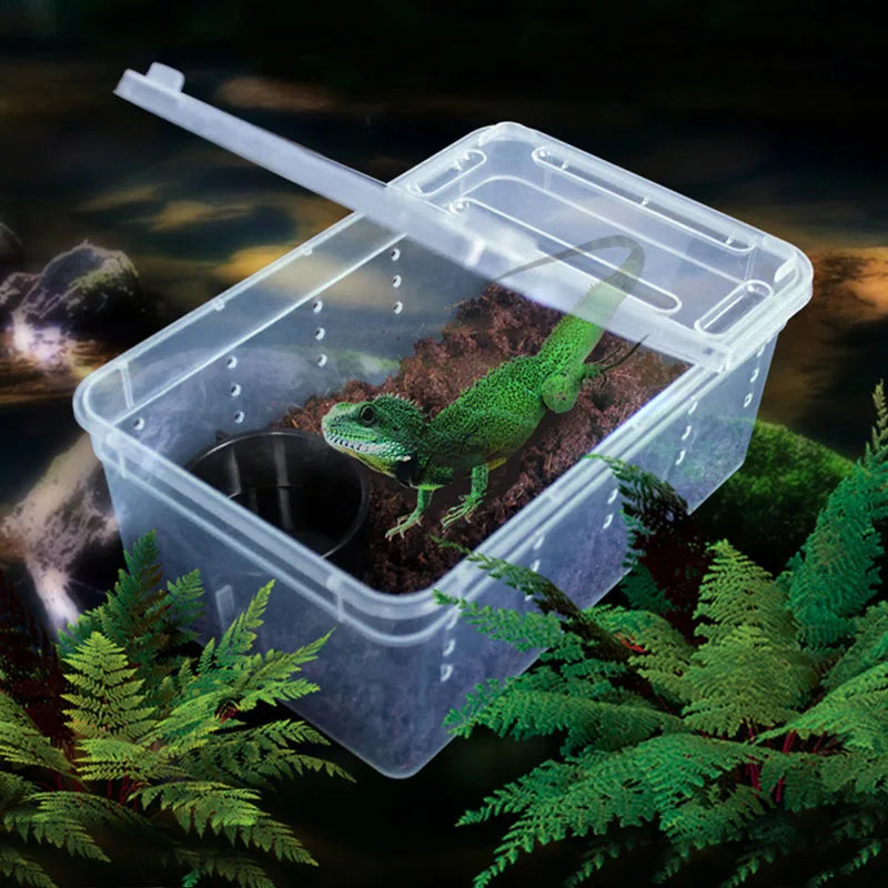 Reptile Snake Feeding Box Breeding Hatching Container Lizard Tarantula Habitat Portable Plastic Pet Houses for Spider